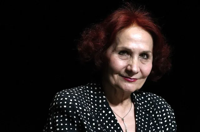 Vida Ognjenović – esej