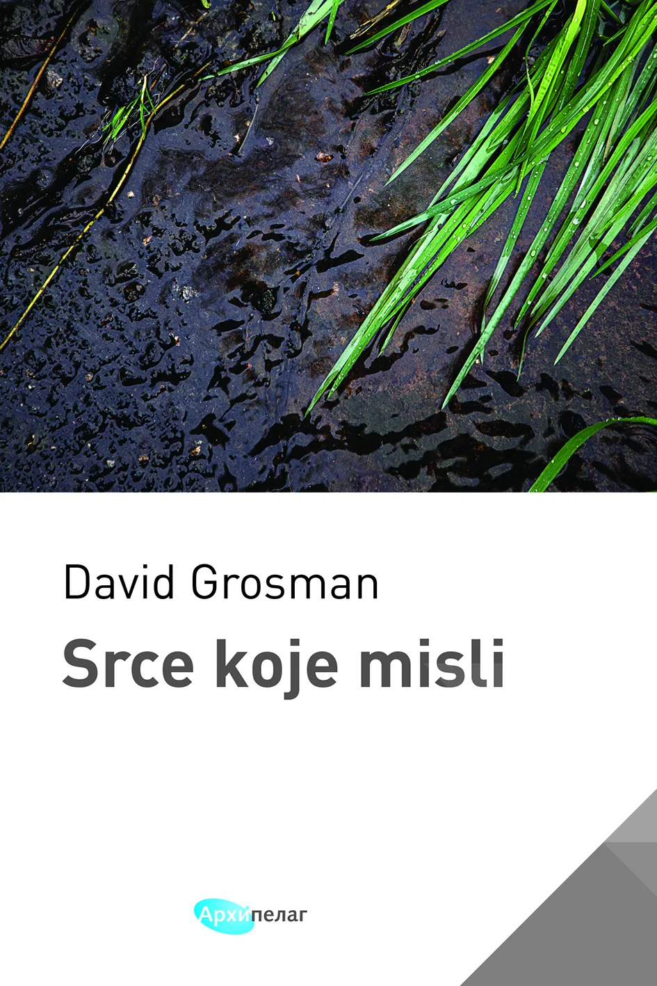 Ilustracija za tekst Arhipelag – Knjige u 2025.