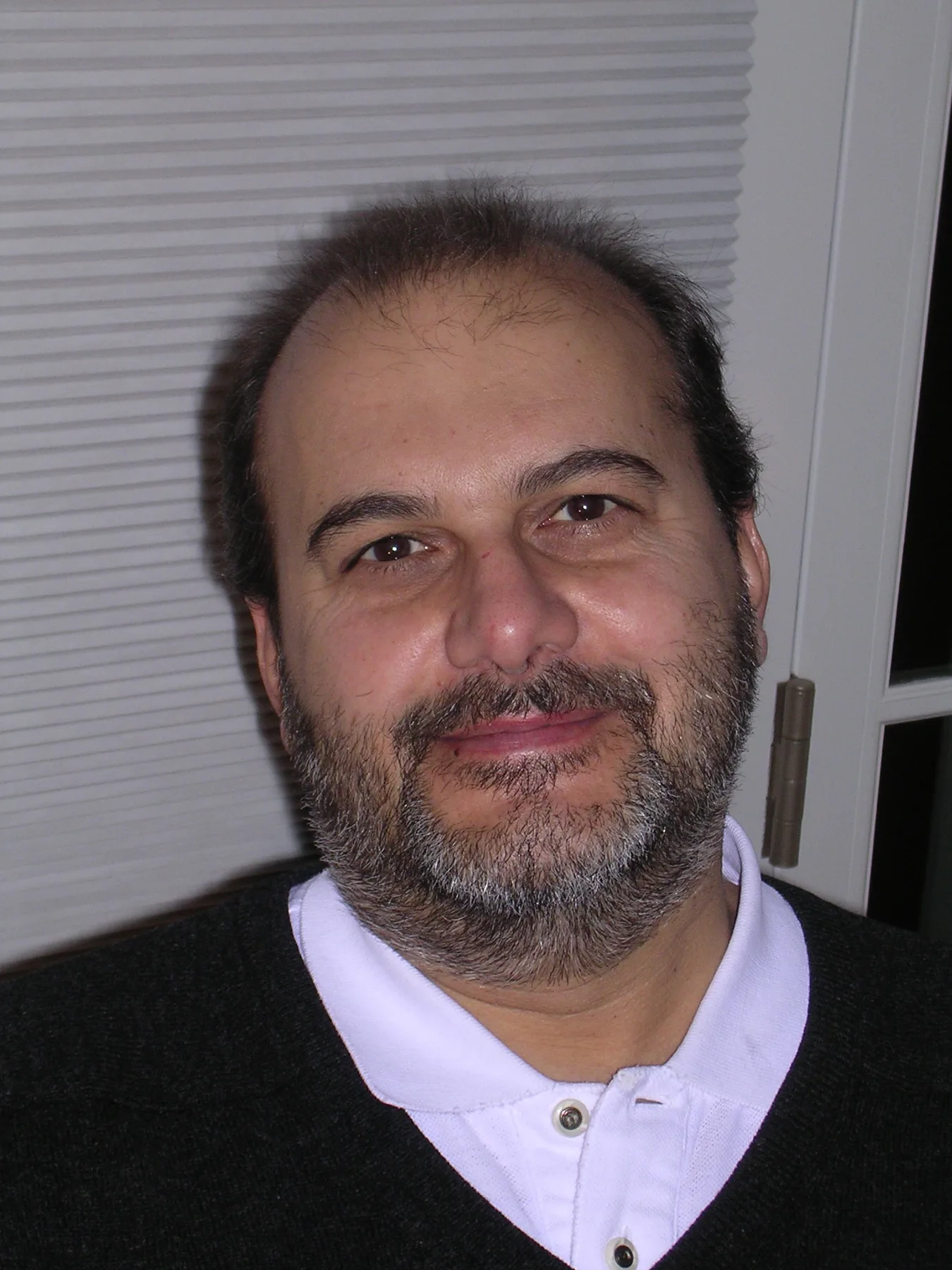 Branko Milanović – Kolumna