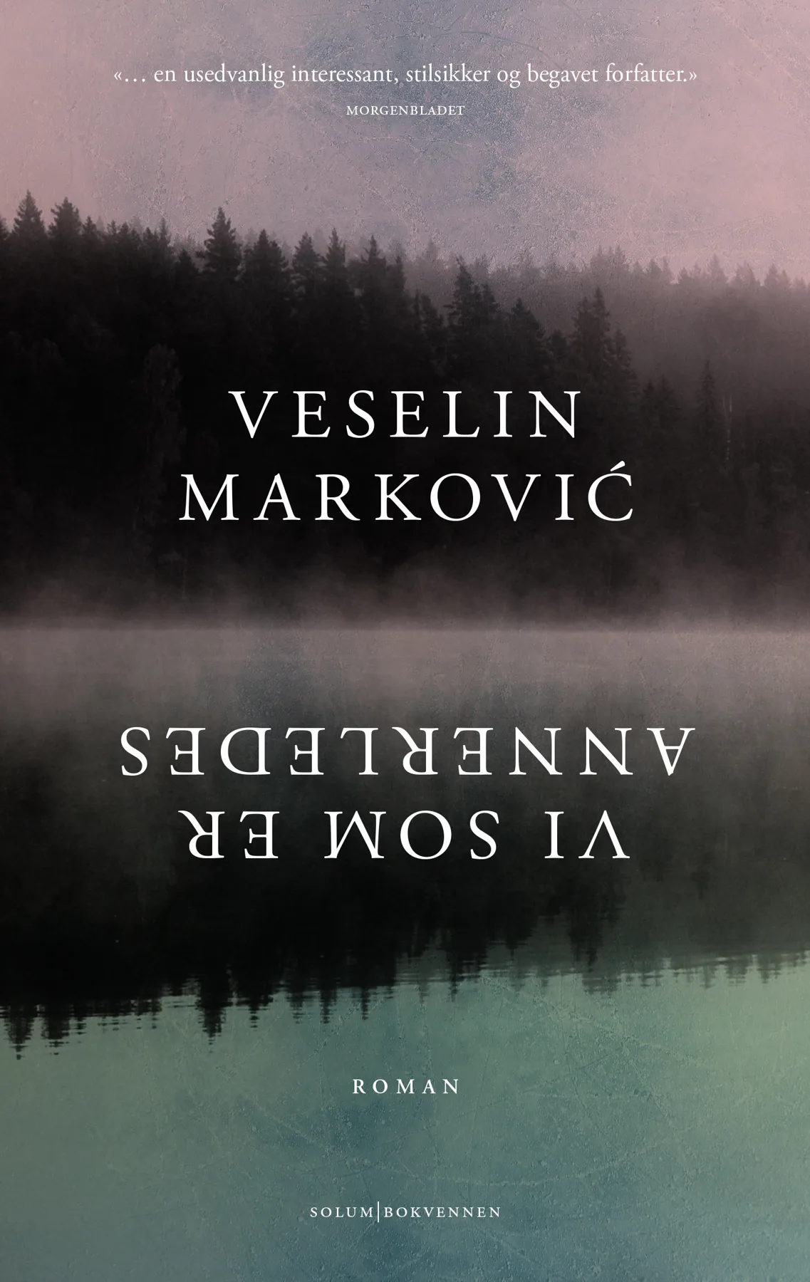 Roman Veselina Markovića Mi različiti na norveškom
