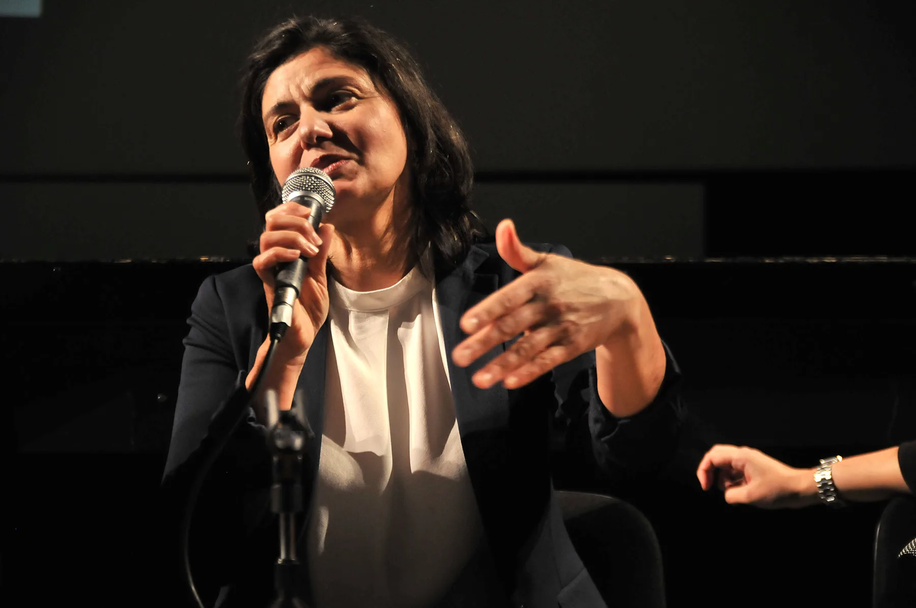 Milena Dragićević Šešić na panelu Kultura u tranziciji: Idemo ka polju sve veće kontrole