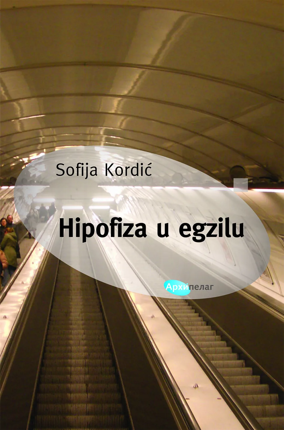 Korice knjige Hipofiza u egzilu